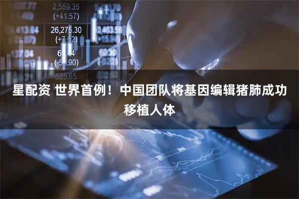 星配资 世界首例！中国团队将基因编辑猪肺成功移植人体