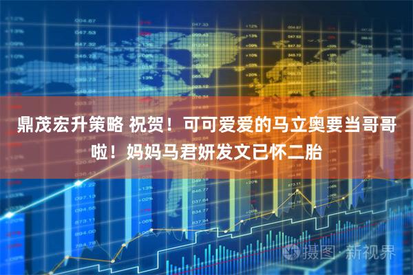 鼎茂宏升策略 祝贺！可可爱爱的马立奥要当哥哥啦！妈妈马君妍发文已怀二胎